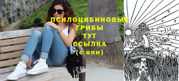 PSILOCYBIN Вязьма