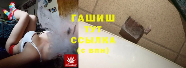 PSILOCYBIN Вязьма