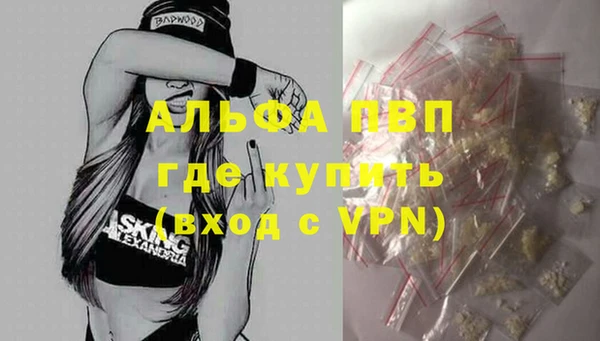 PSILOCYBIN Вязьма
