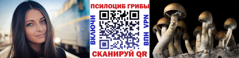 Псилоцибиновые грибы ЛСД  Купить где  Северск 
